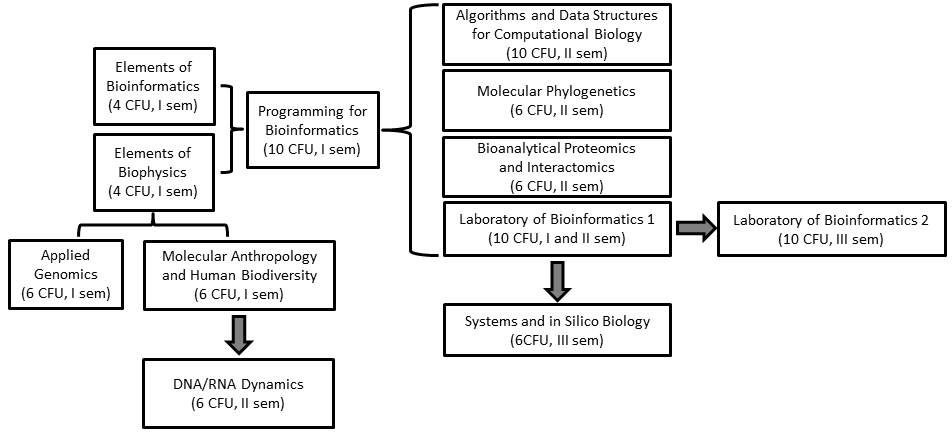 Propedeuticity for all the exams that qualify the student as a bioinformatician