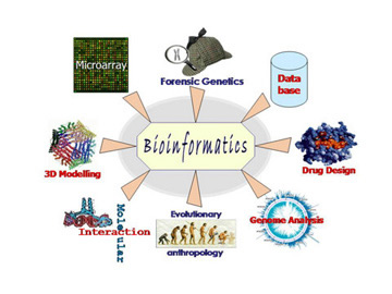 Bioinformatics Bologna