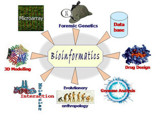 Bioinformatics Bologna