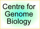 Center of Genome Biology logo